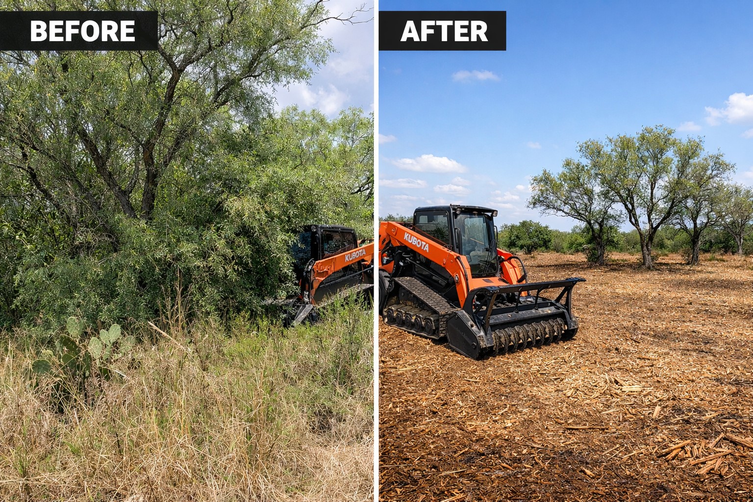 Land clearing project